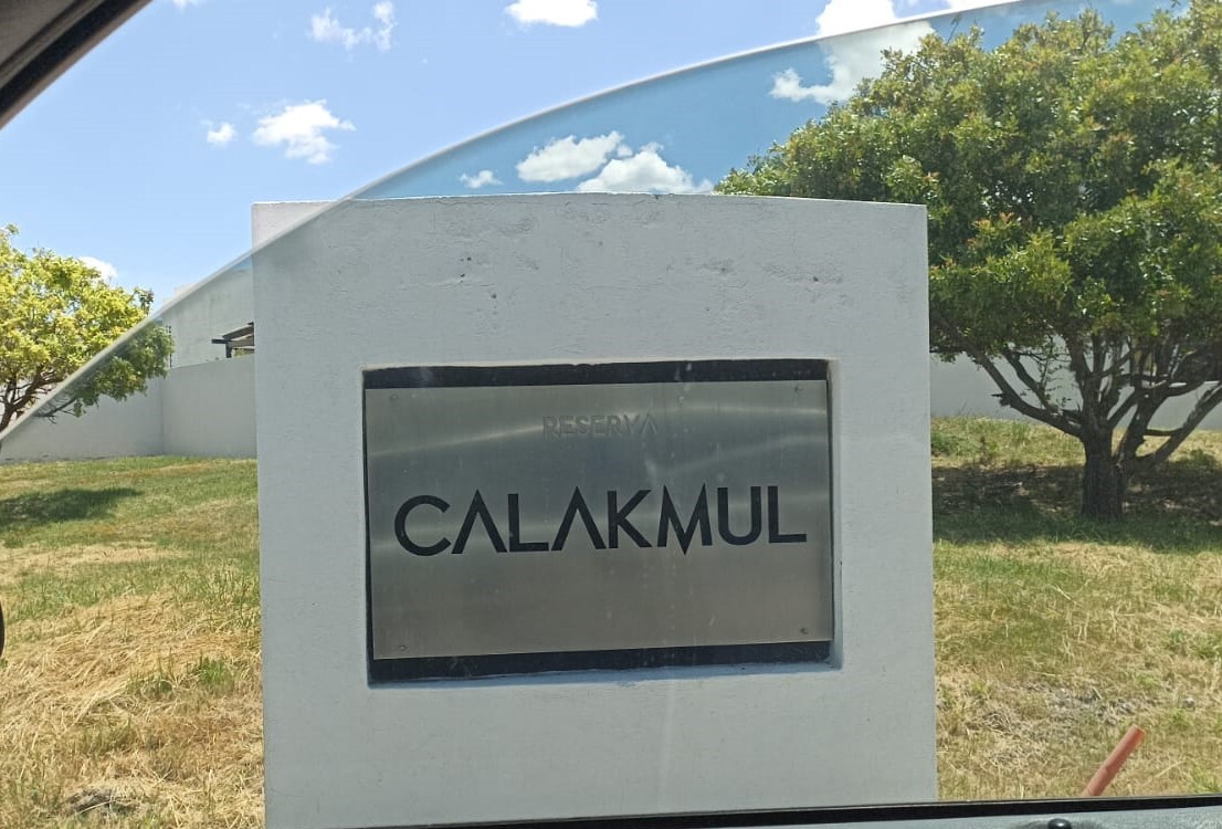 3 de 10: Nombre de Calle