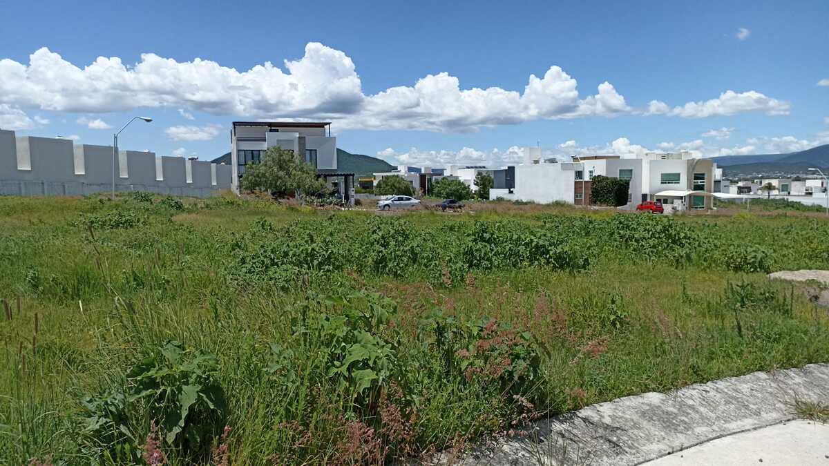 4 de 10: Vista Terreno