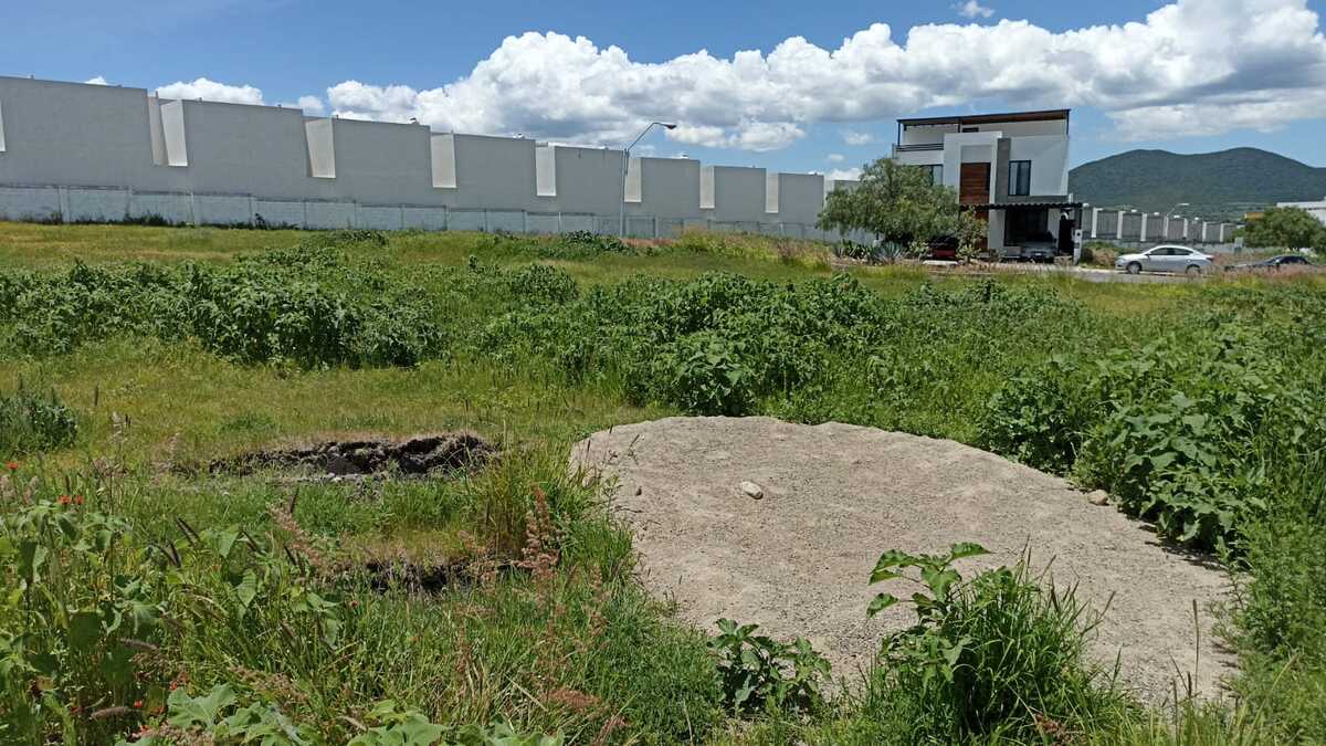 5 de 10: Vista Terreno