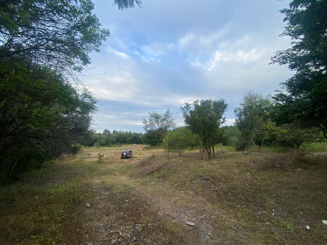 3 de 10