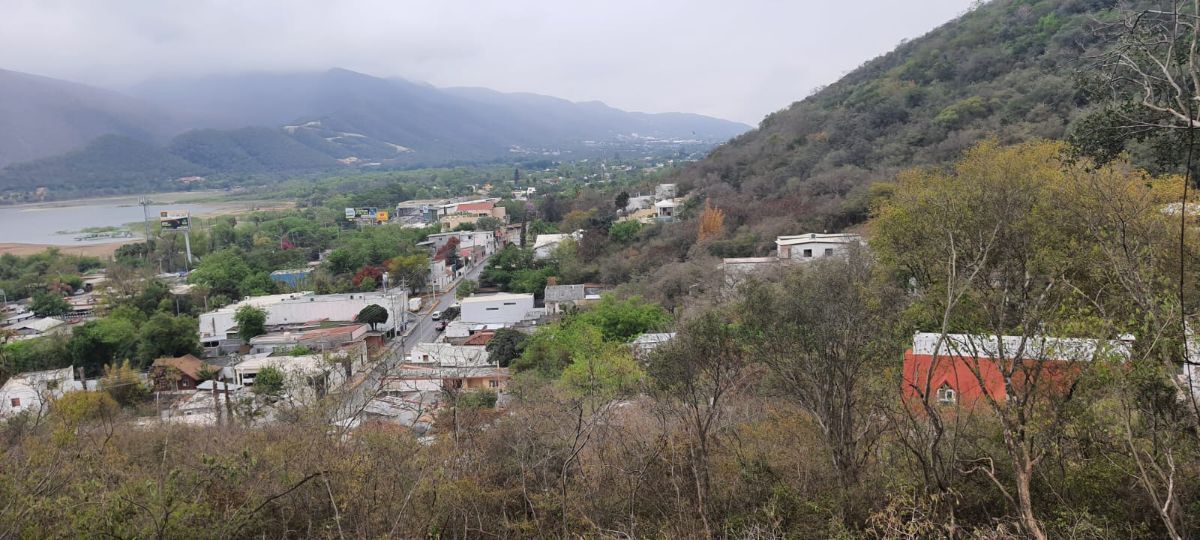 1 de 6