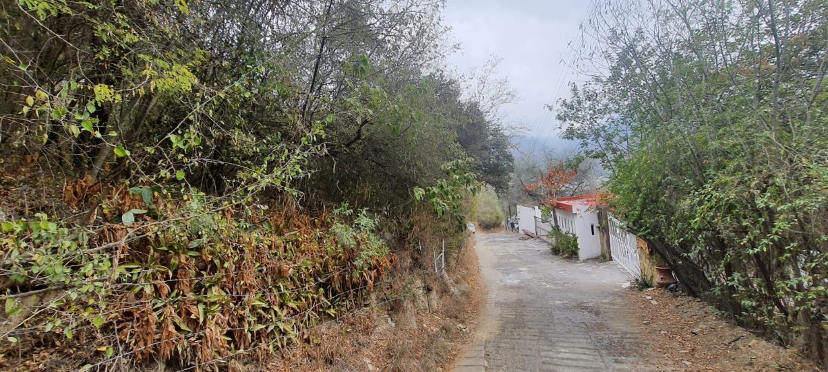 3 de 6
