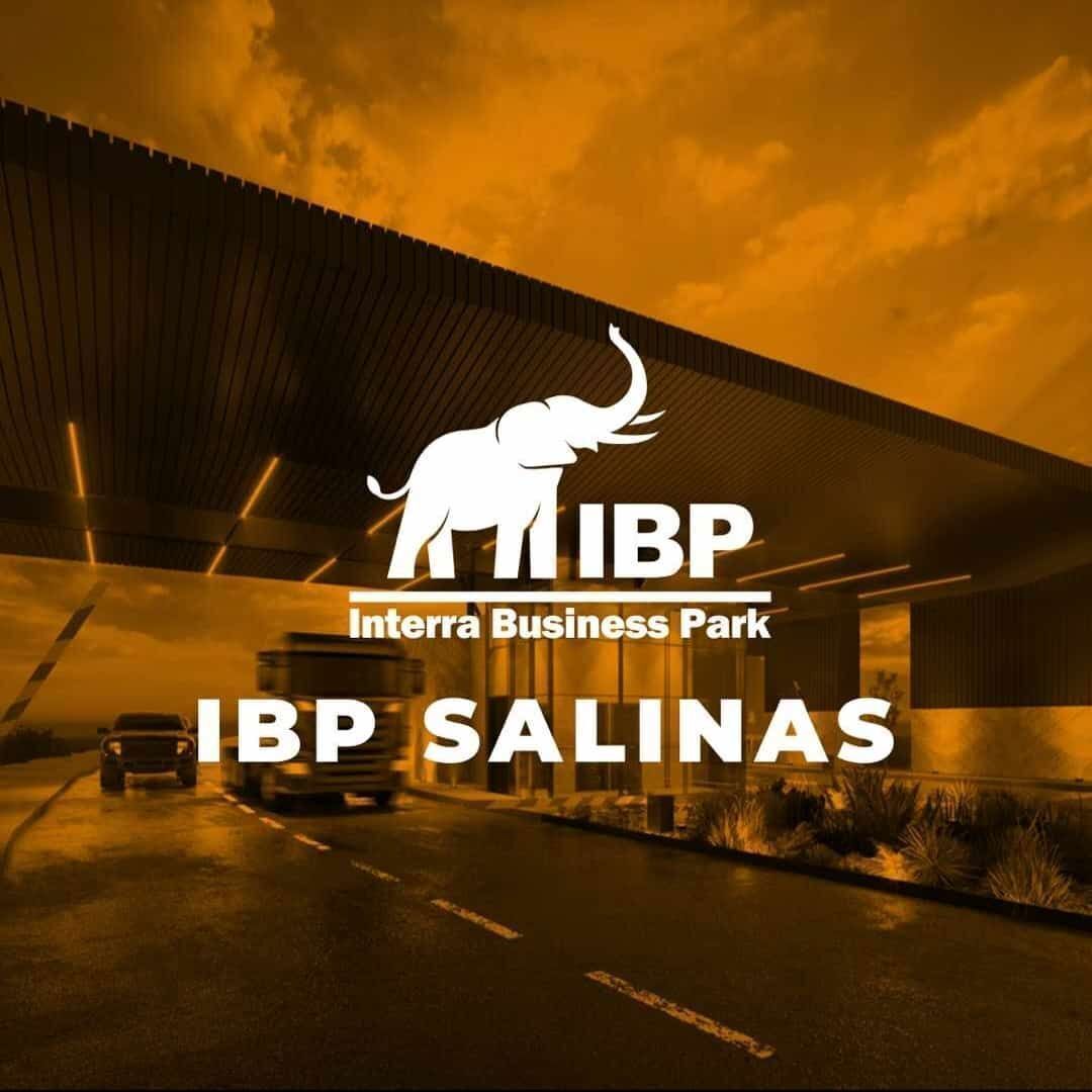1 de 8
