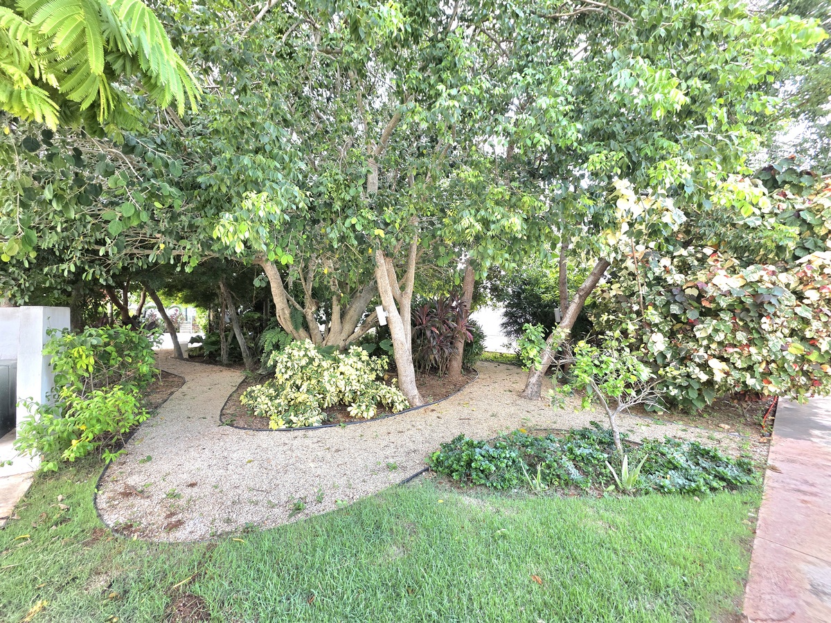 37 de 46