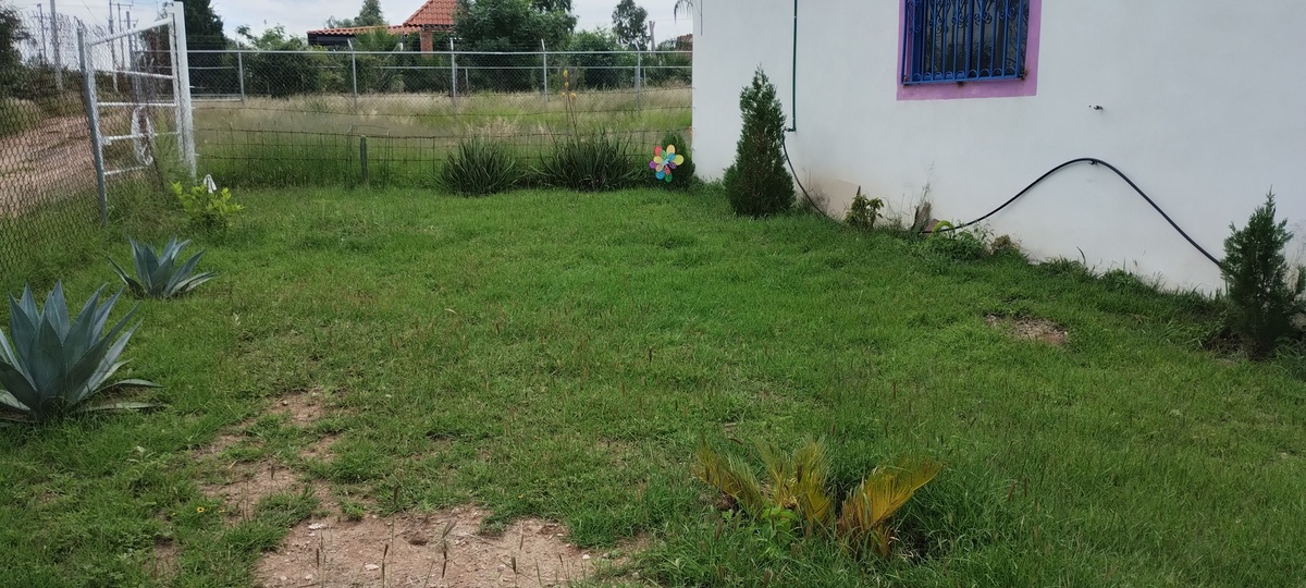 3 de 12