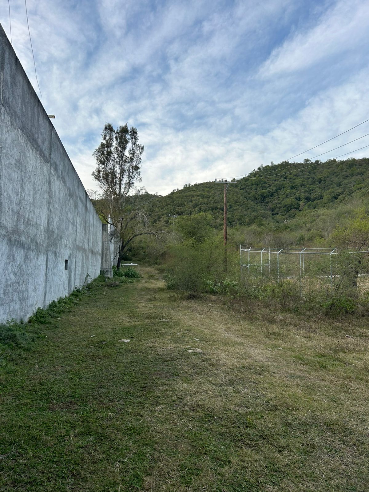 3 of 3