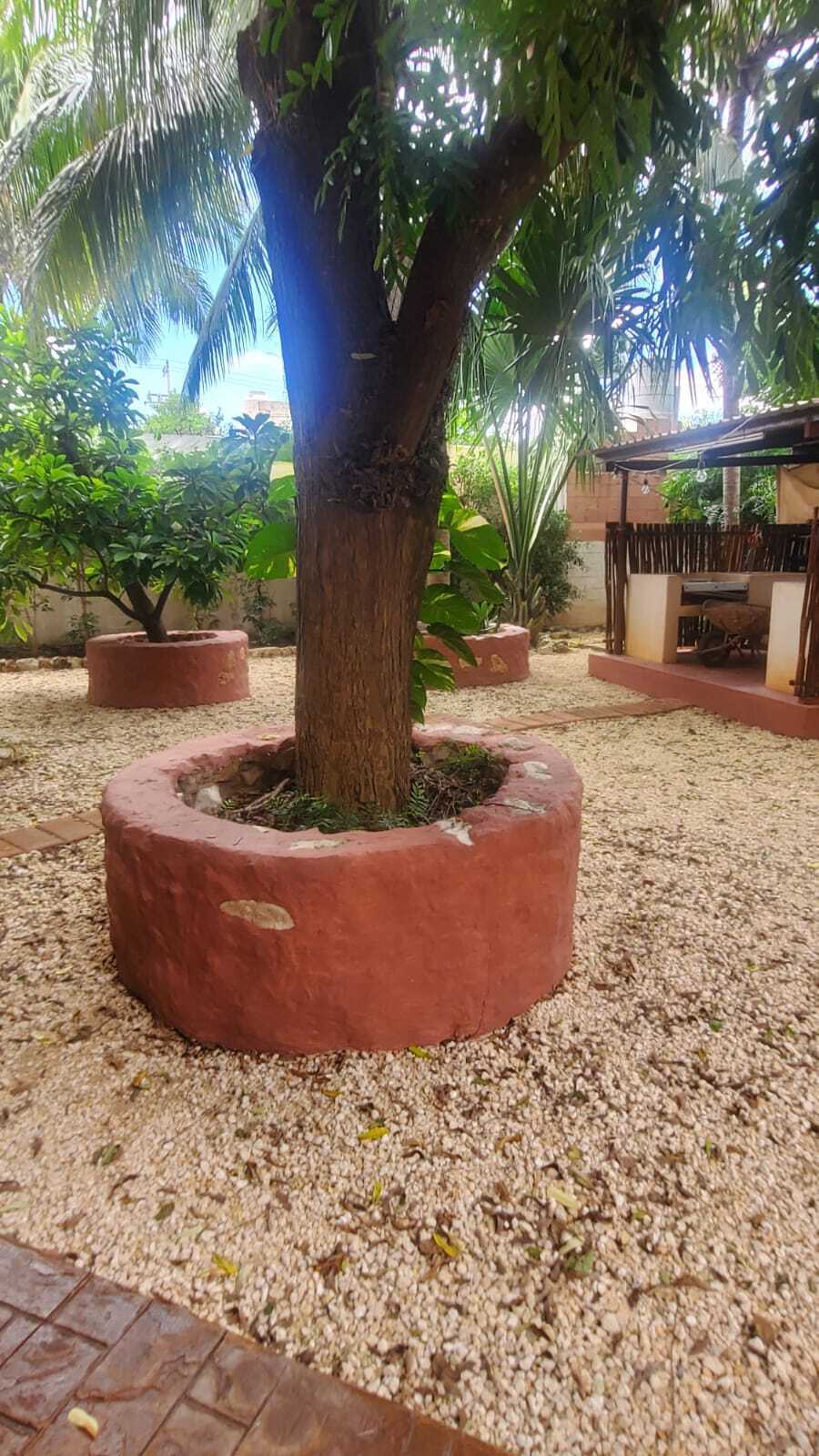 21 de 21