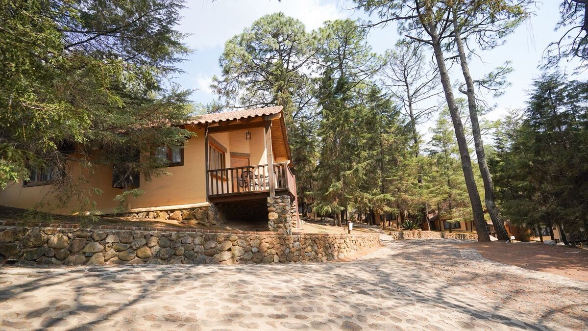 CABAÑA EN VENTA EN MAZAMITLA - foto 1