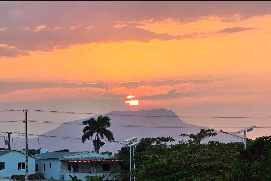 3 of 23: View from Kitchen window