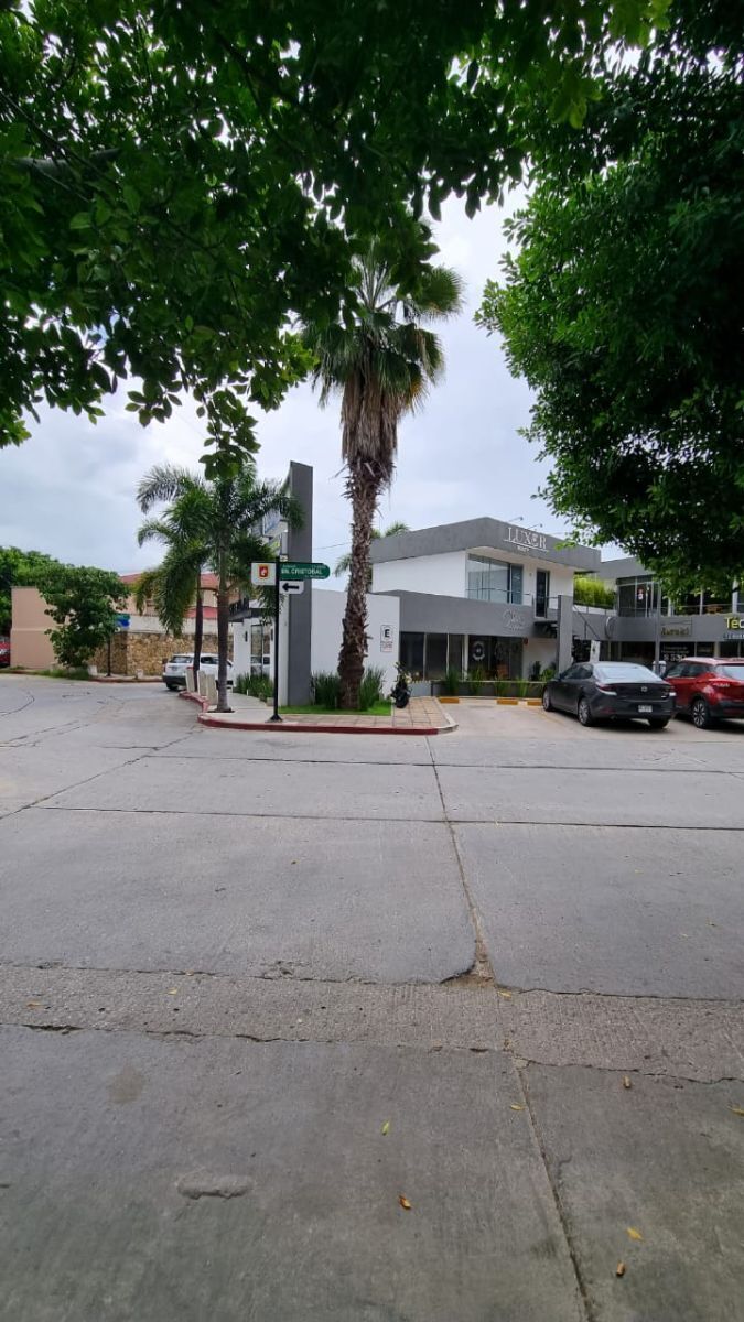 3 de 6