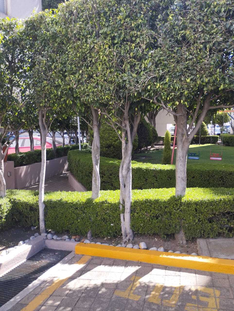 4 de 17