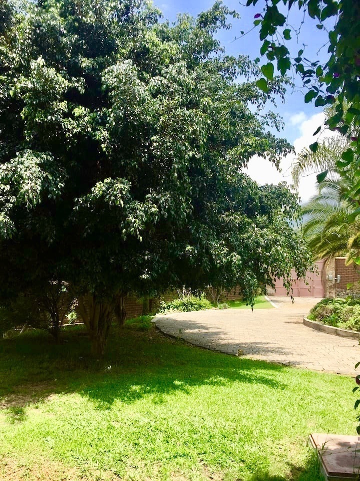 4 de 41