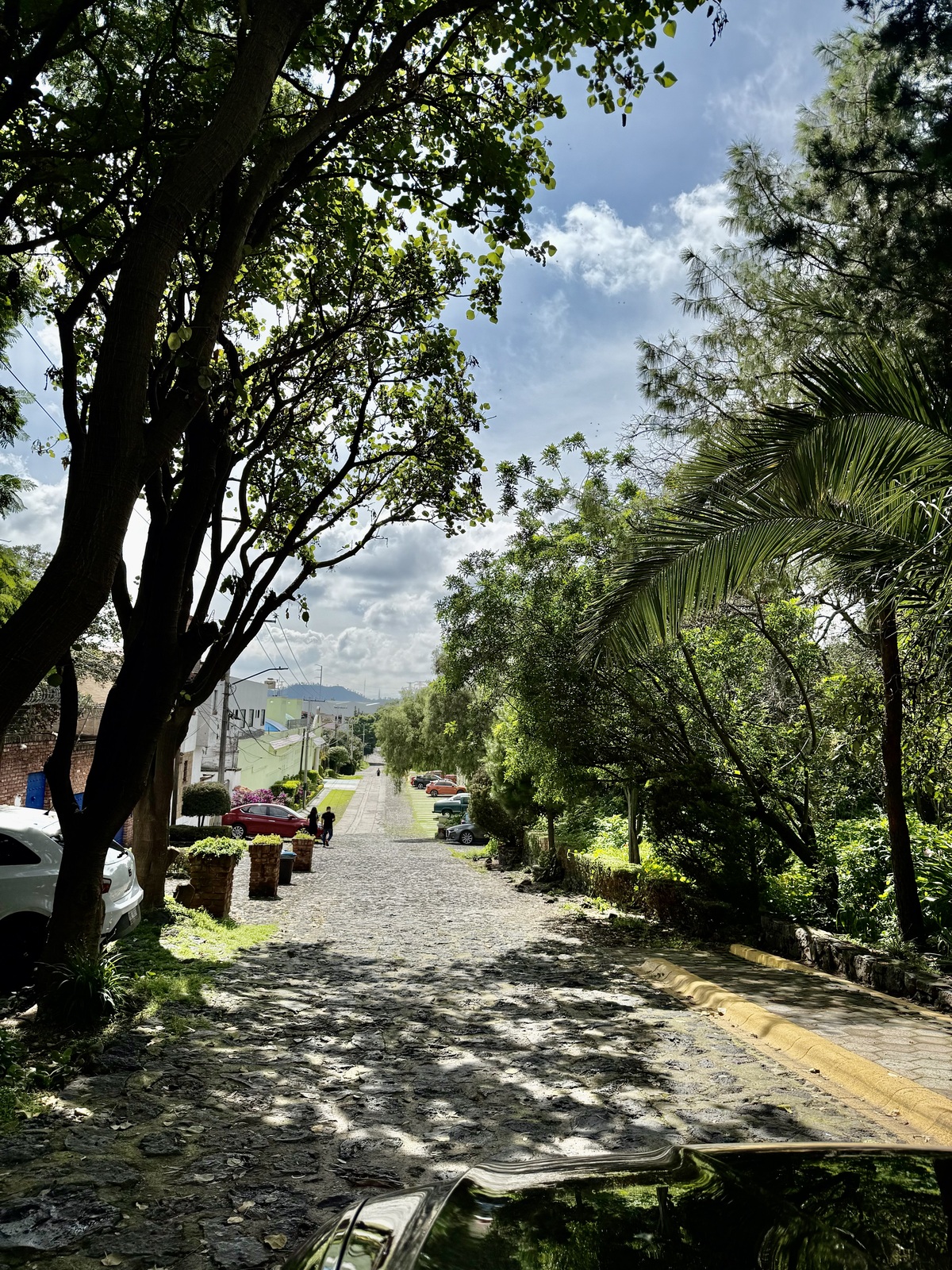 5 de 8