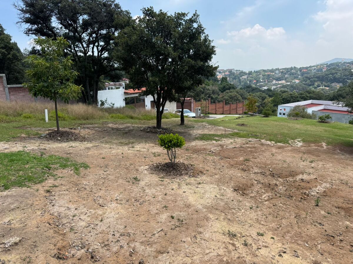 7 de 18