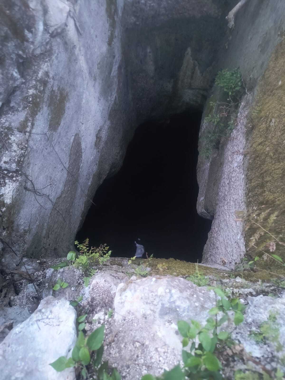 2 de 4