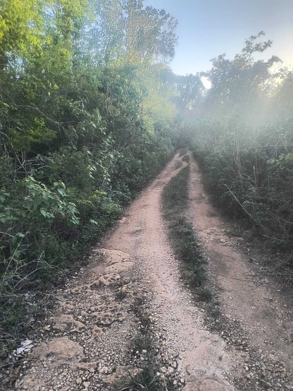 1 de 4