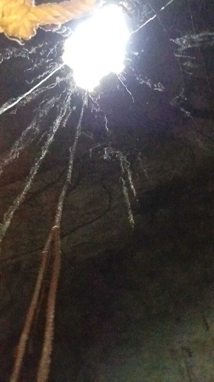 2 de 14