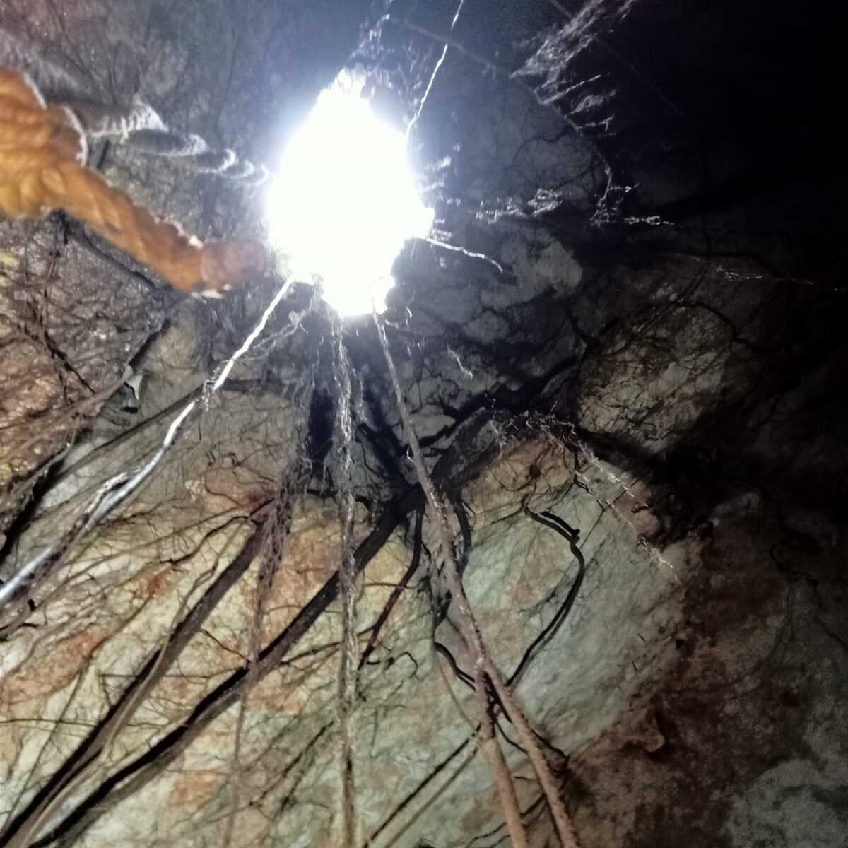 5 de 14