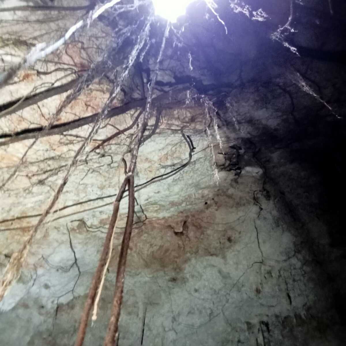 7 de 14