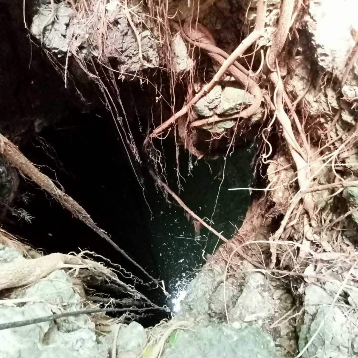 8 de 14