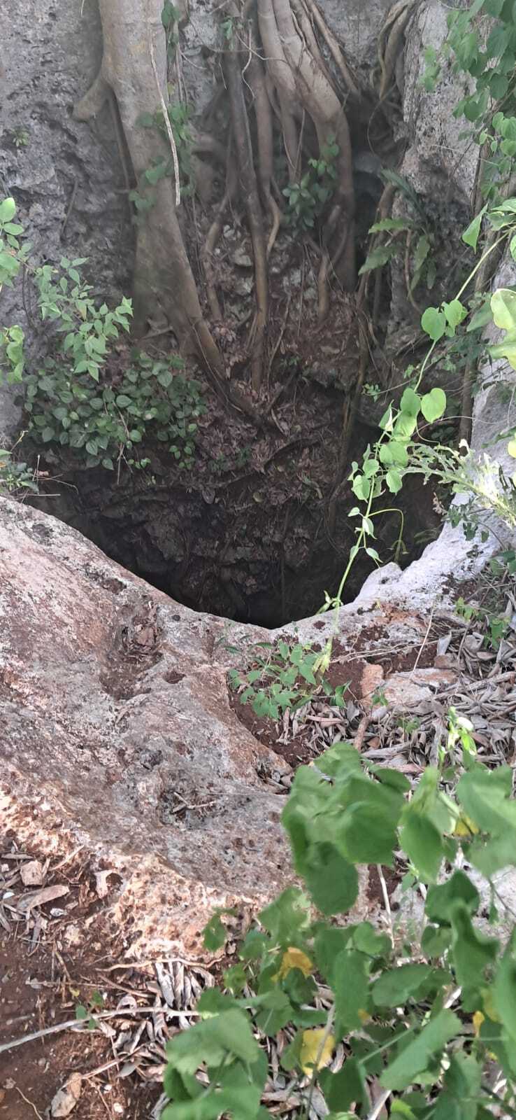 14 de 14