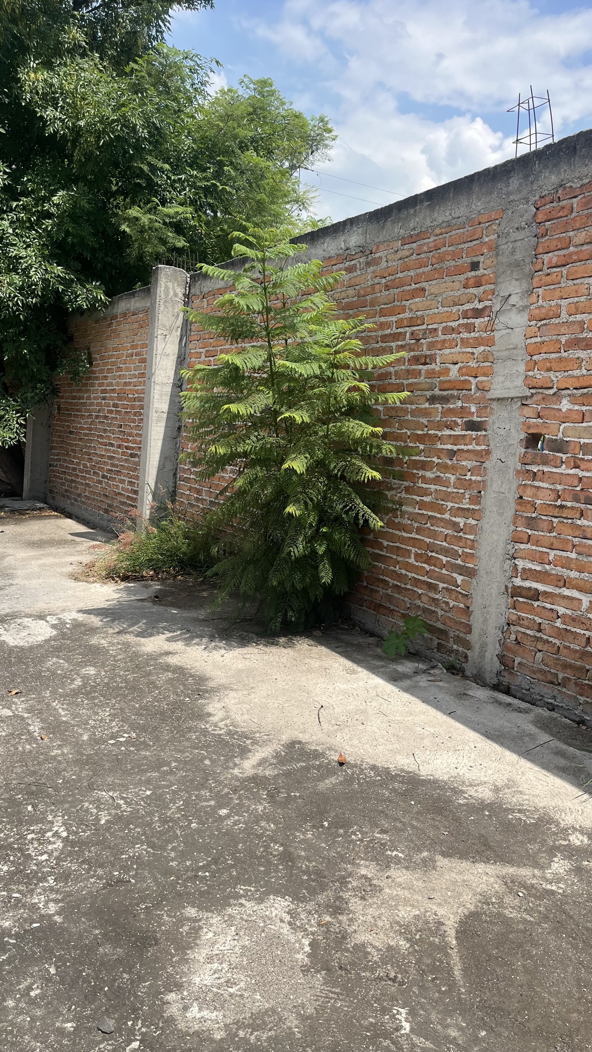 5 de 23