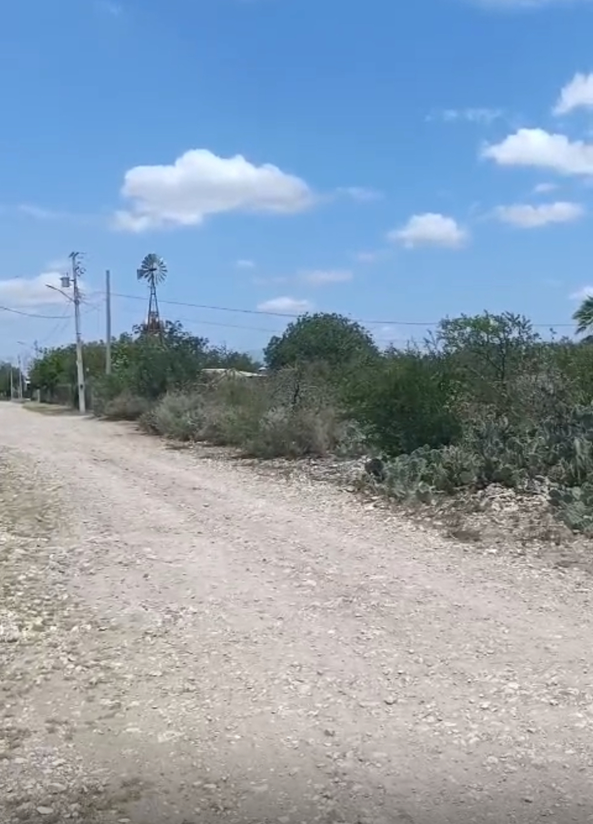 1 de 5