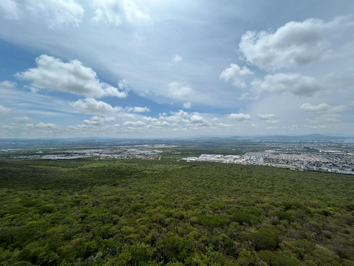 3 de 32