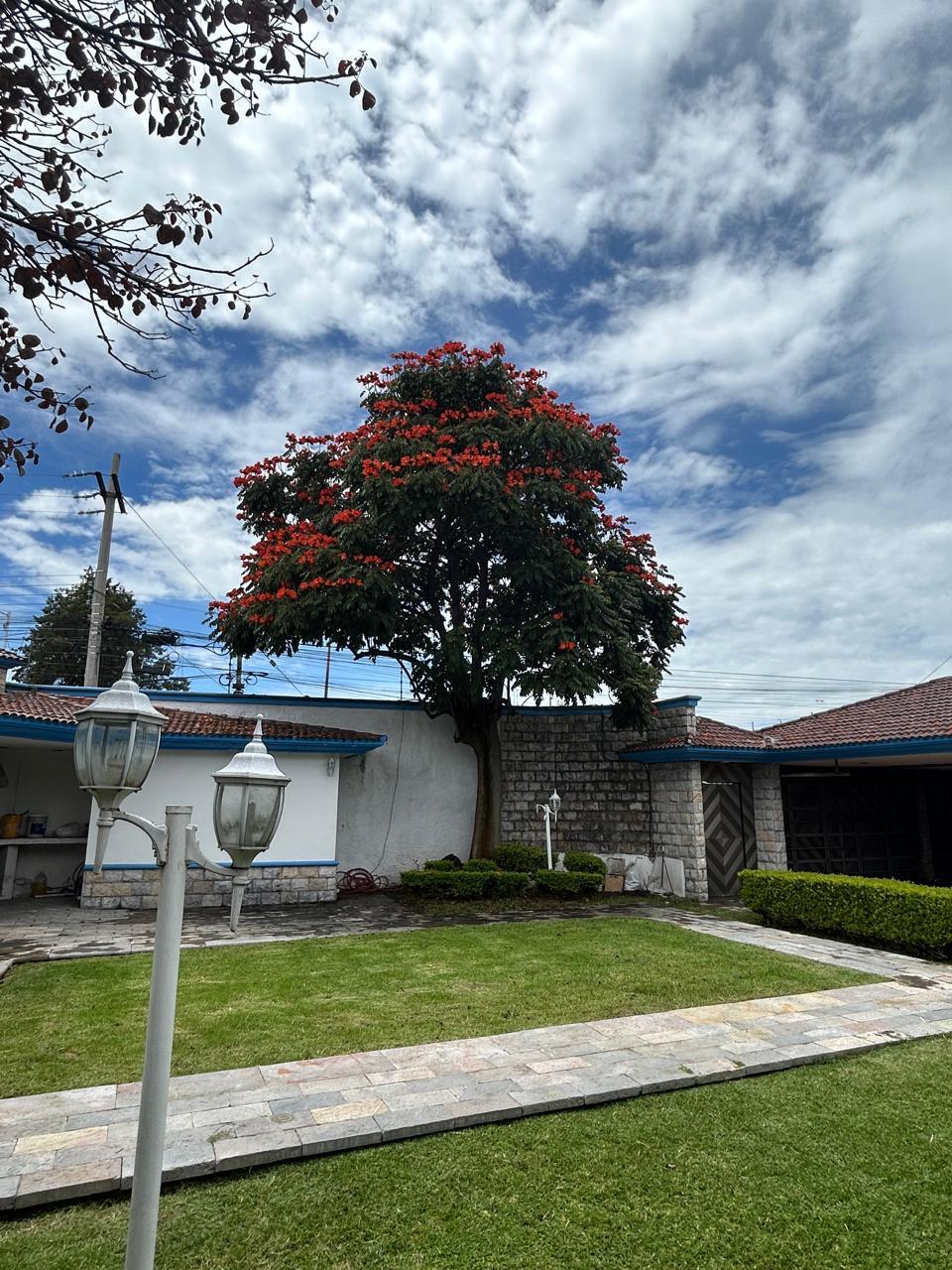 6 de 33