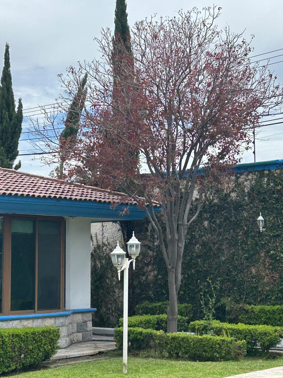 26 de 33