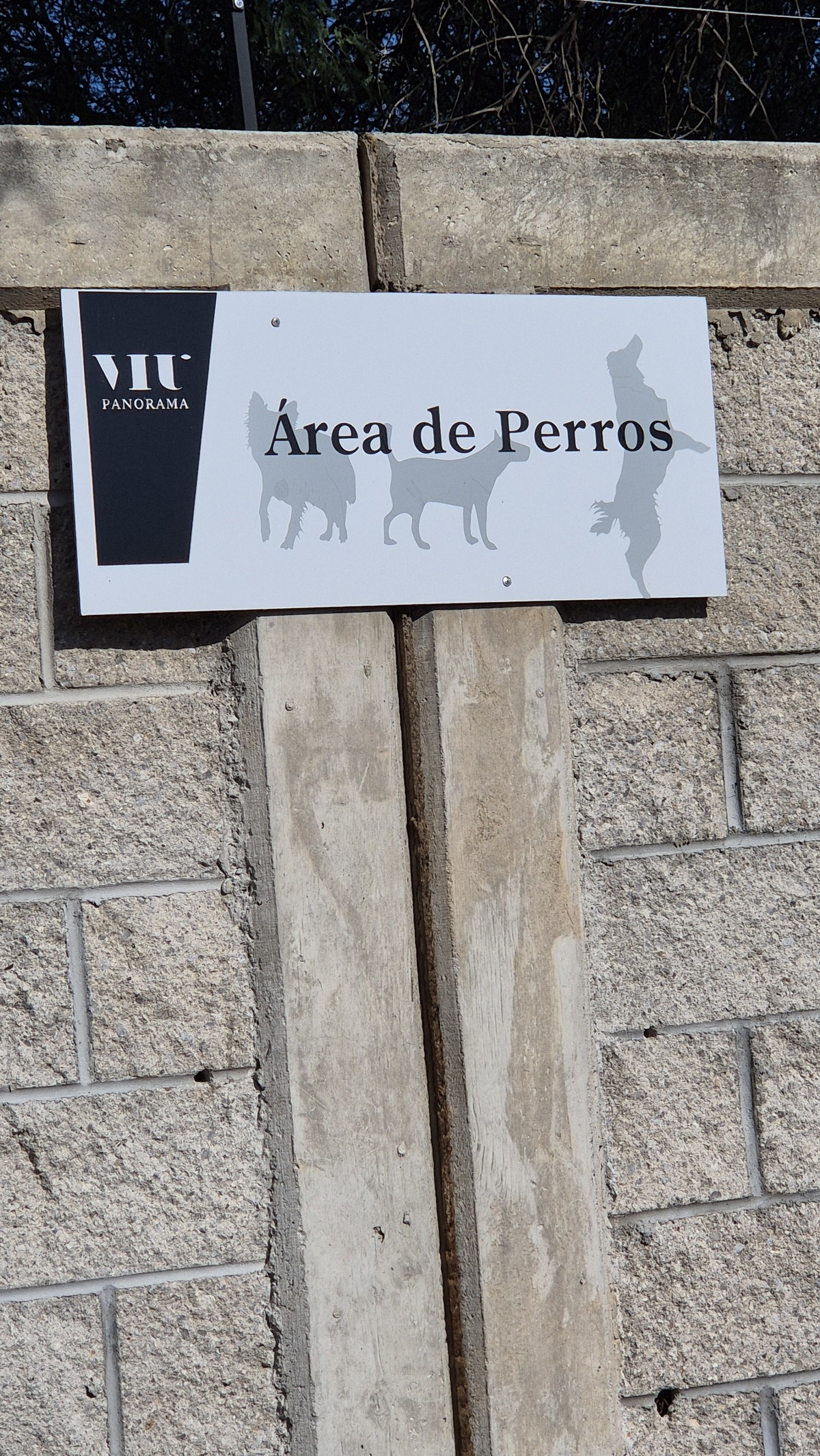 5 de 13