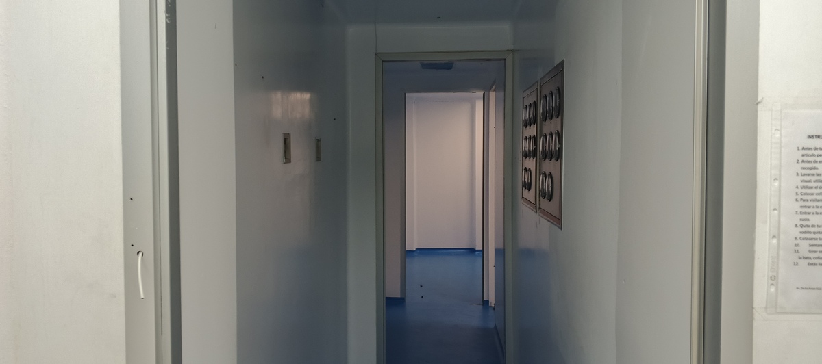 8 de 19