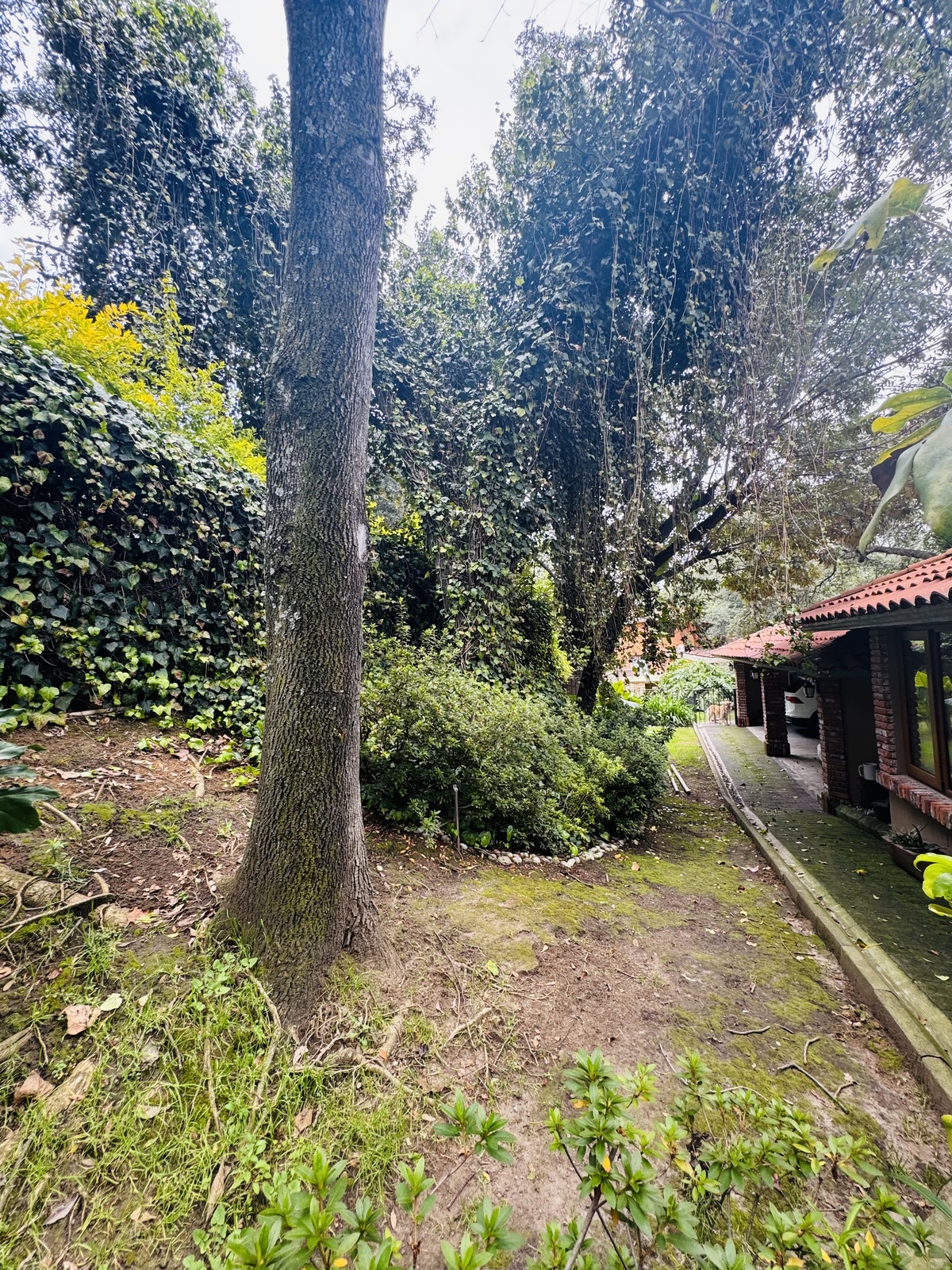 4 de 50