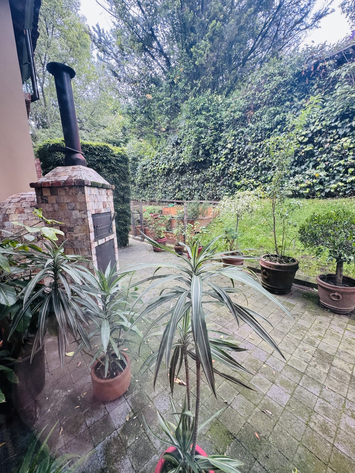 16 de 50