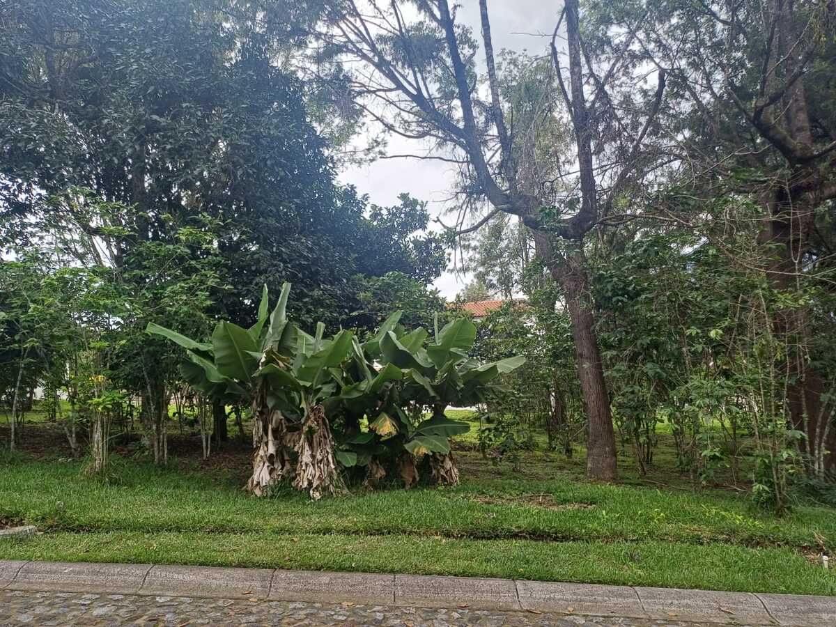 Terreno en Alotenango, foto 3 de 4
