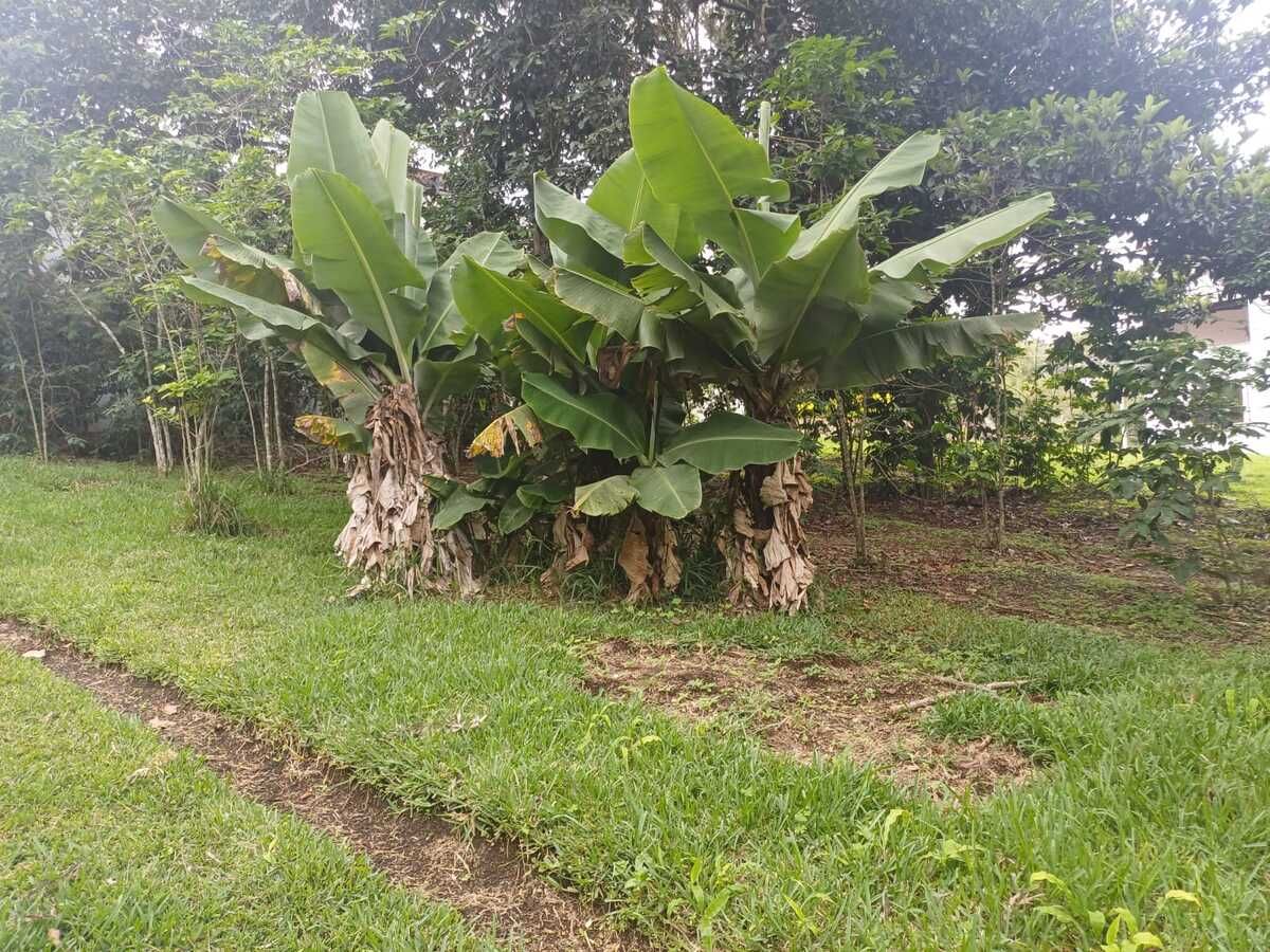 Terreno en Alotenango, foto 4 de 4