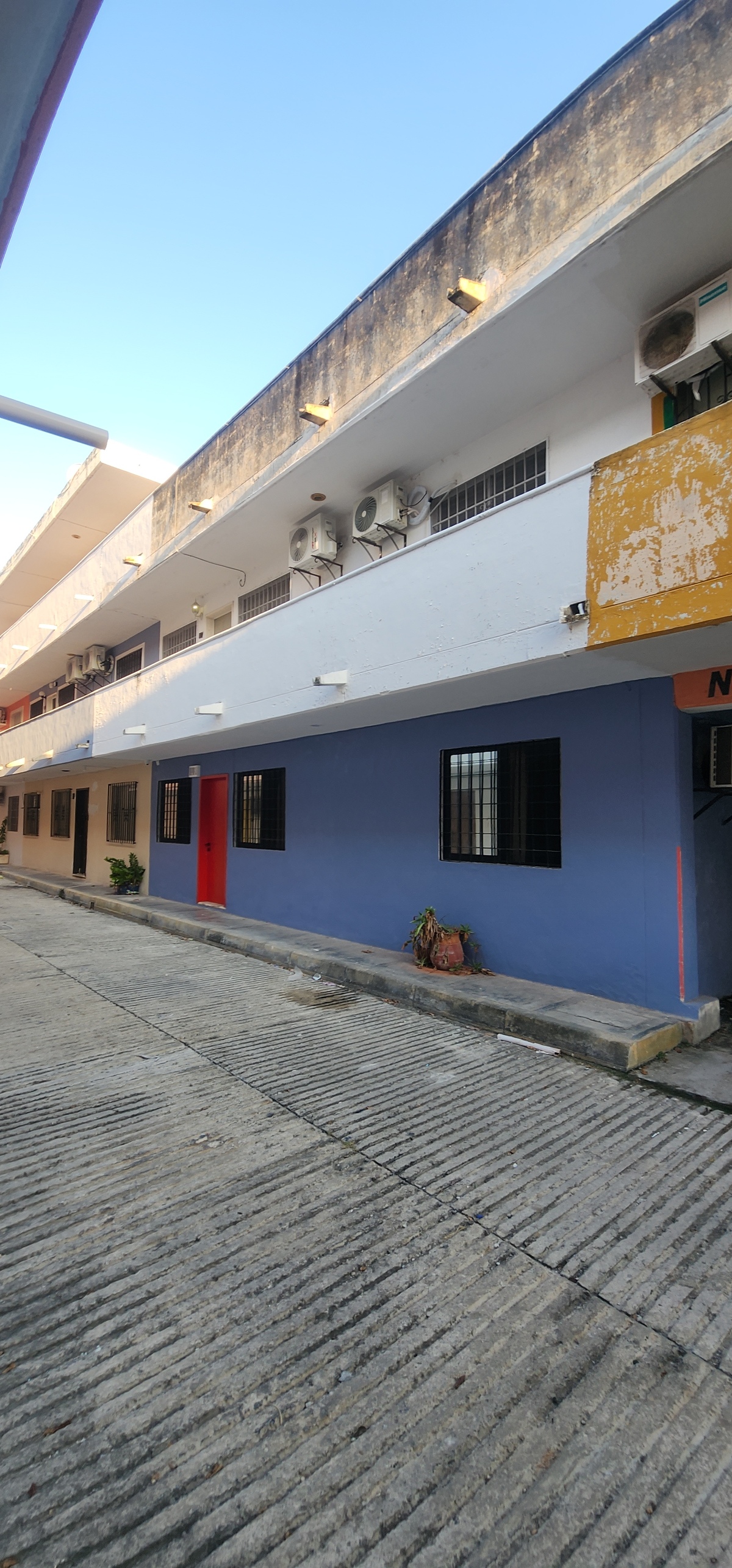 11 de 12