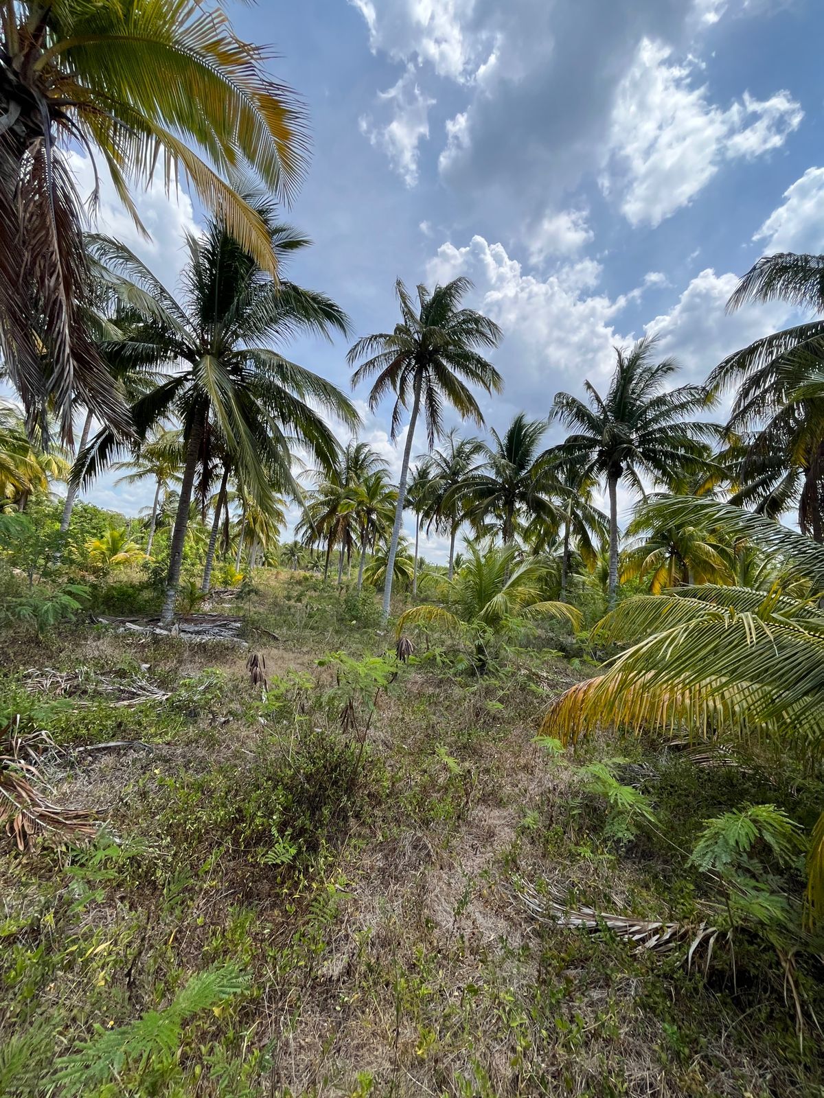 5 de 5