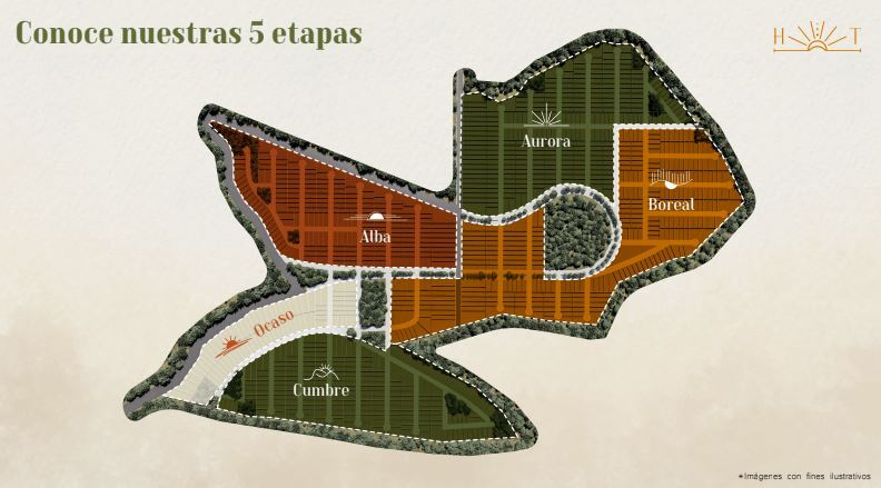 3 de 14