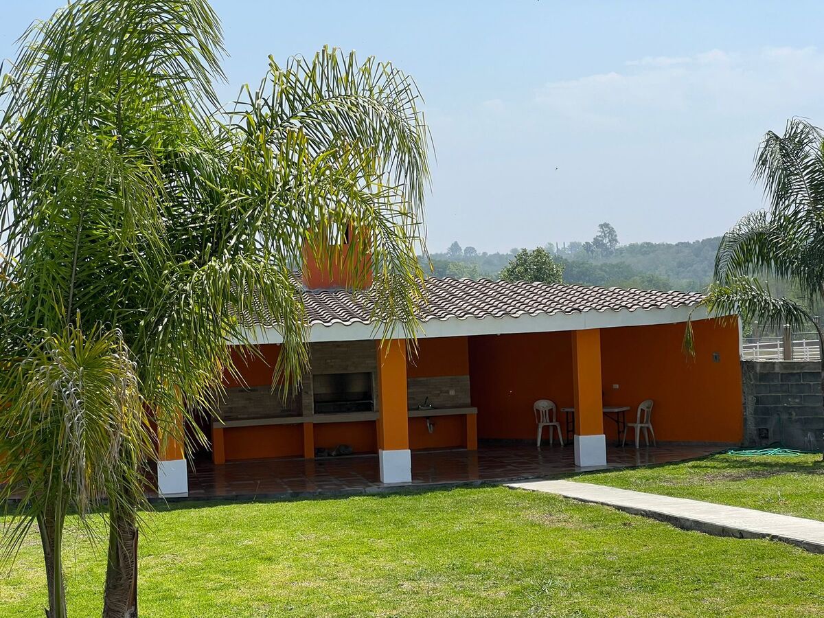 5 de 16