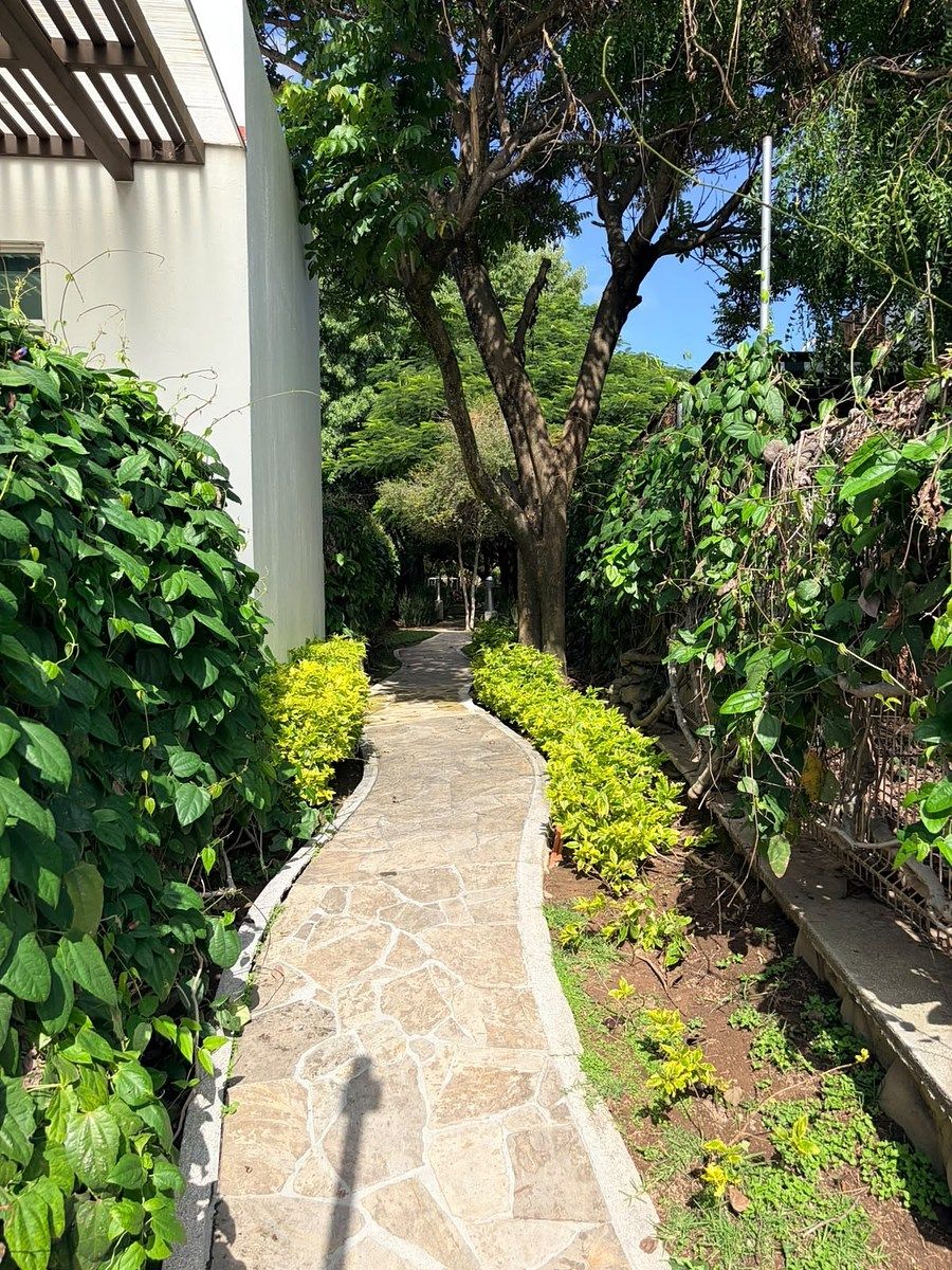 House in El Real, Zapopan, photo 33 of 38
