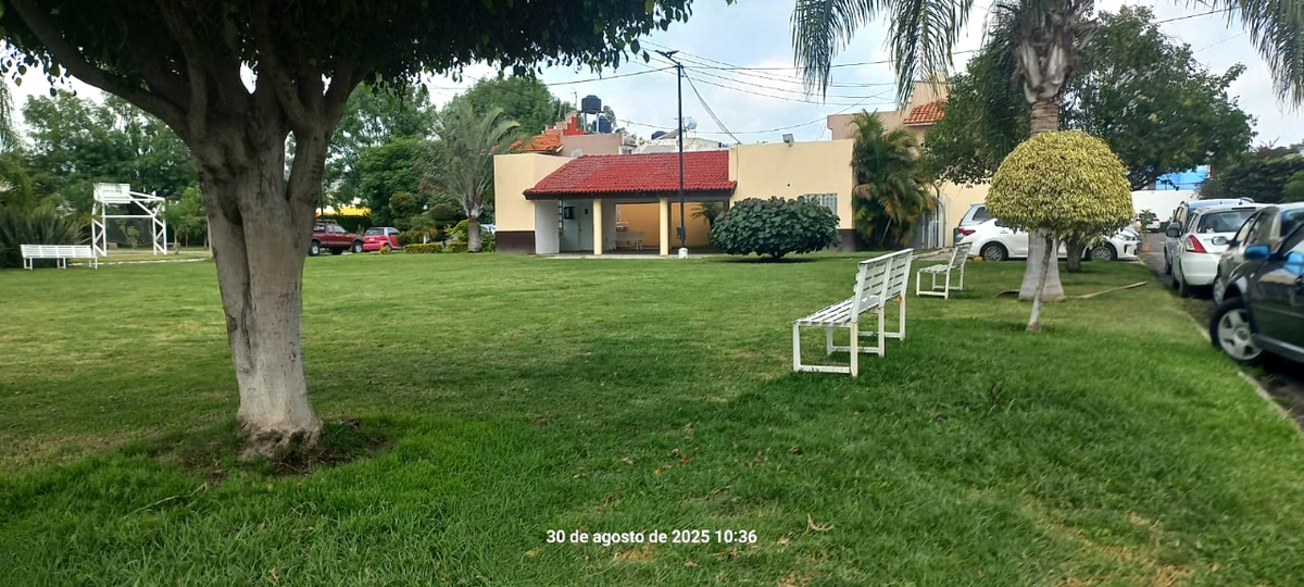 5 de 14
