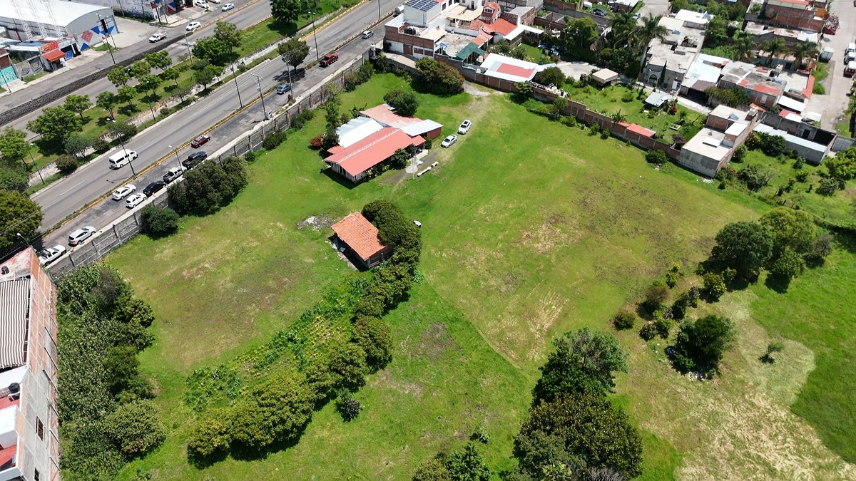 9 de 31