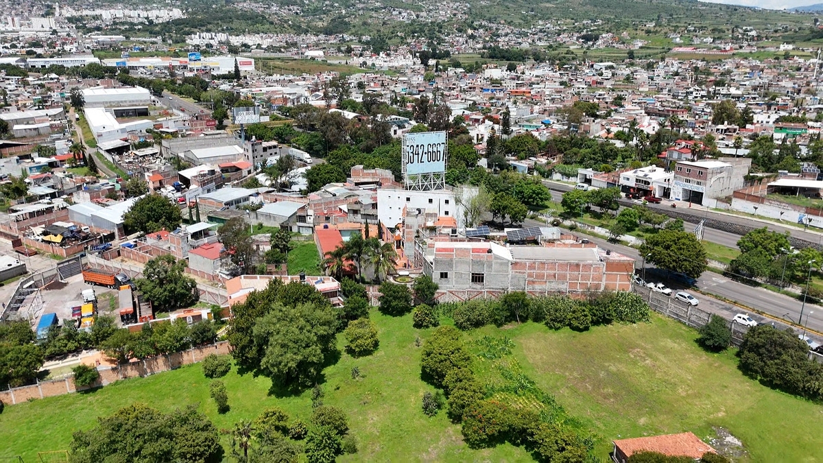 11 de 31