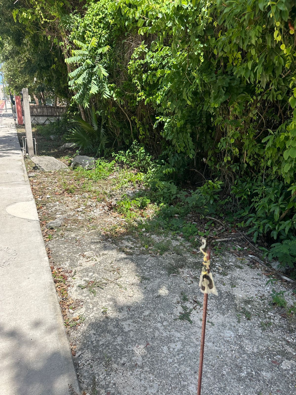2 of 10