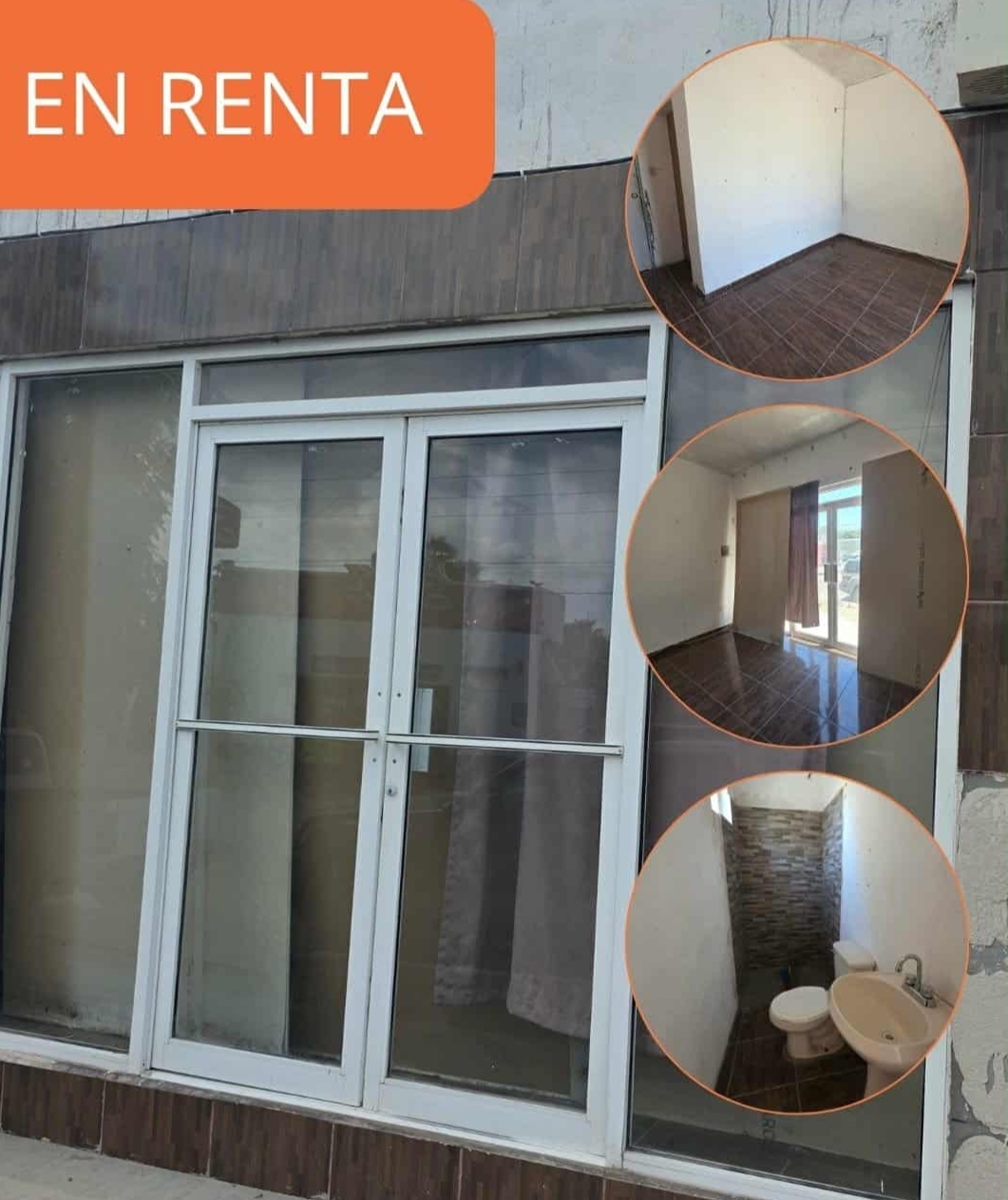 1 de 5