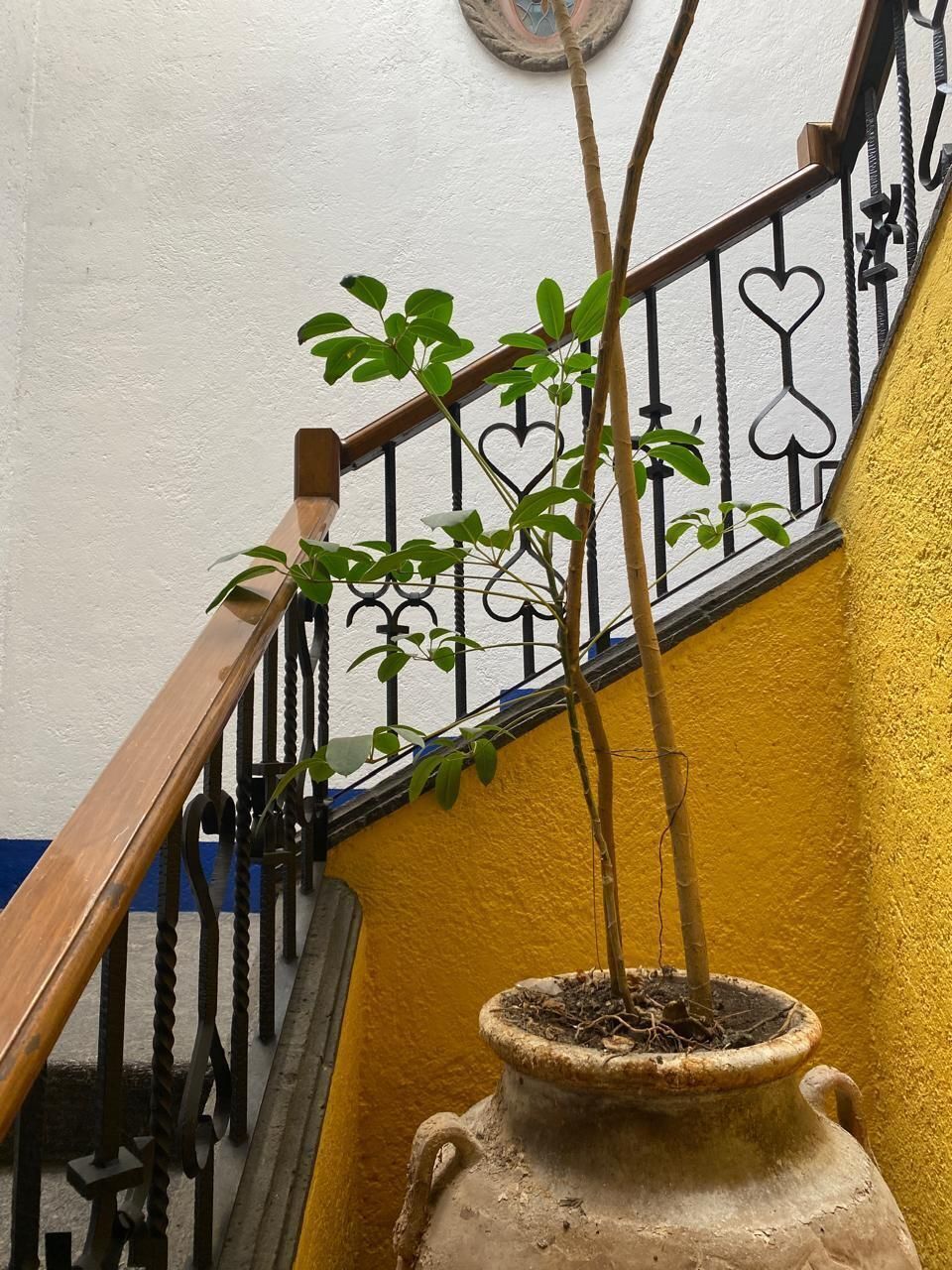 5 de 34