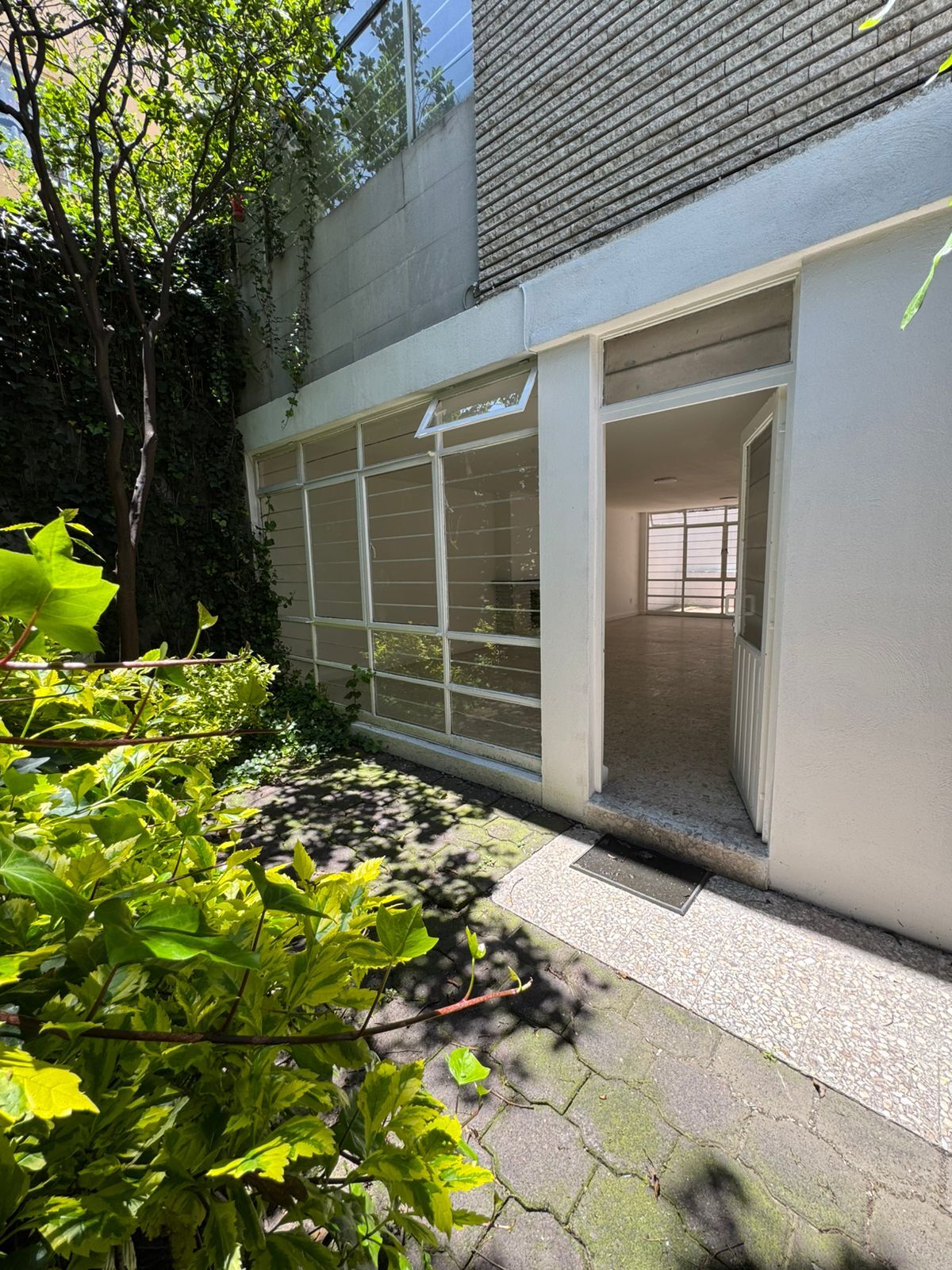 1 de 12: Entrada