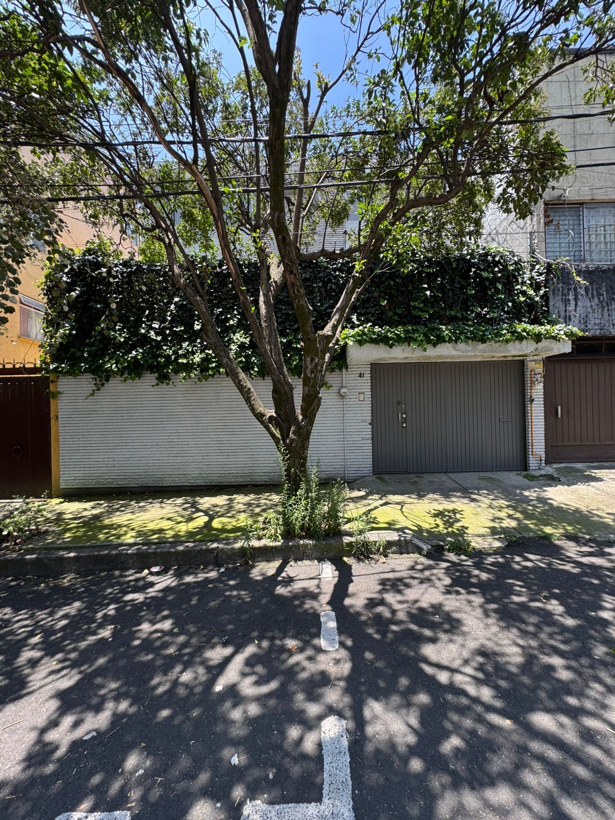 3 de 12: Fachada