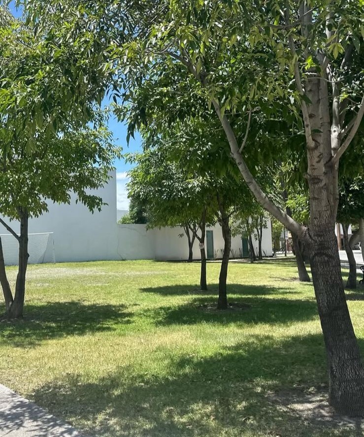 4 de 5